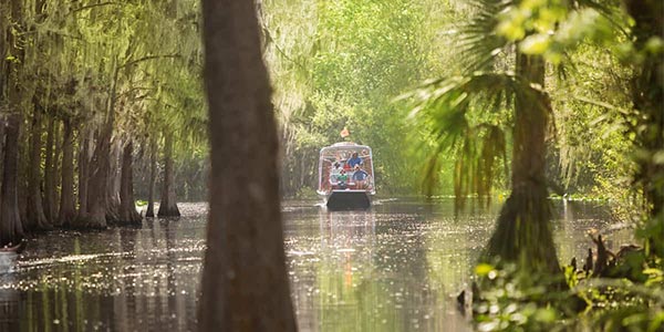 Spirit of the Swamp Airboat Rides